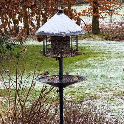 Mangeoire à oiseaux anti-rats