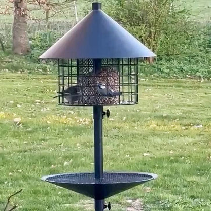 Mangeoire à oiseaux anti-rats