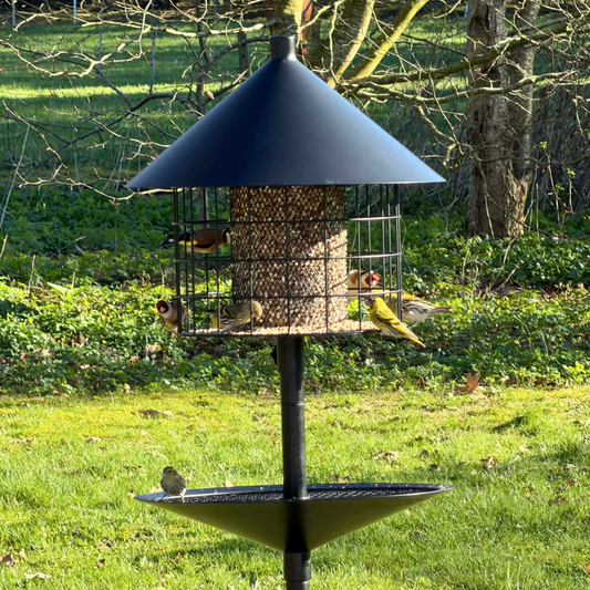 Mangeoire à oiseaux anti-rats