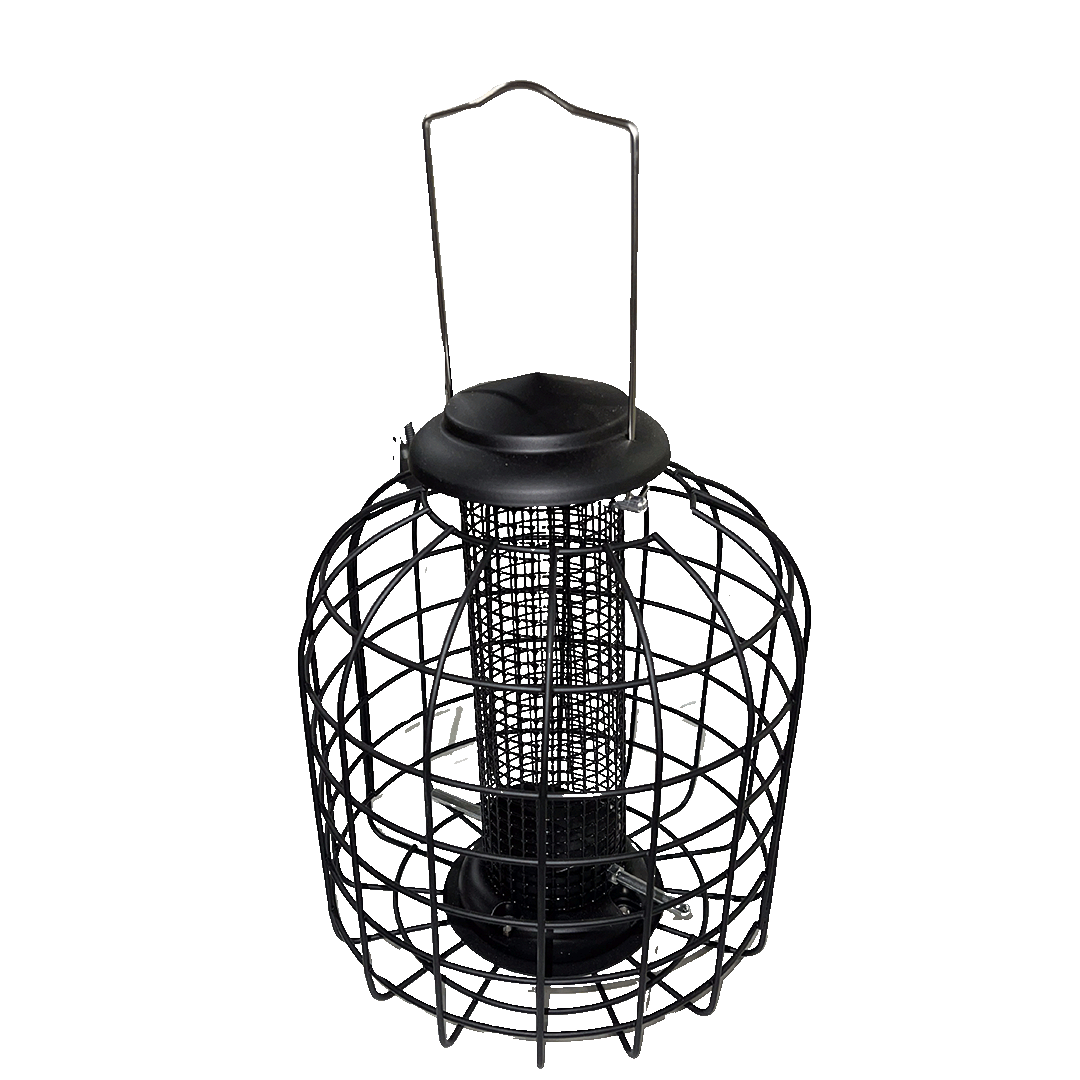 Mangeoire à cacahuètes et autres noix avec grille de protection