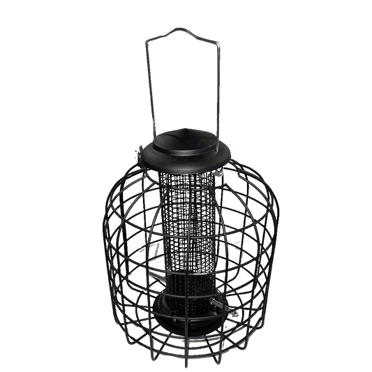 Mangeoire à cacahuètes et autres noix avec grille de protection