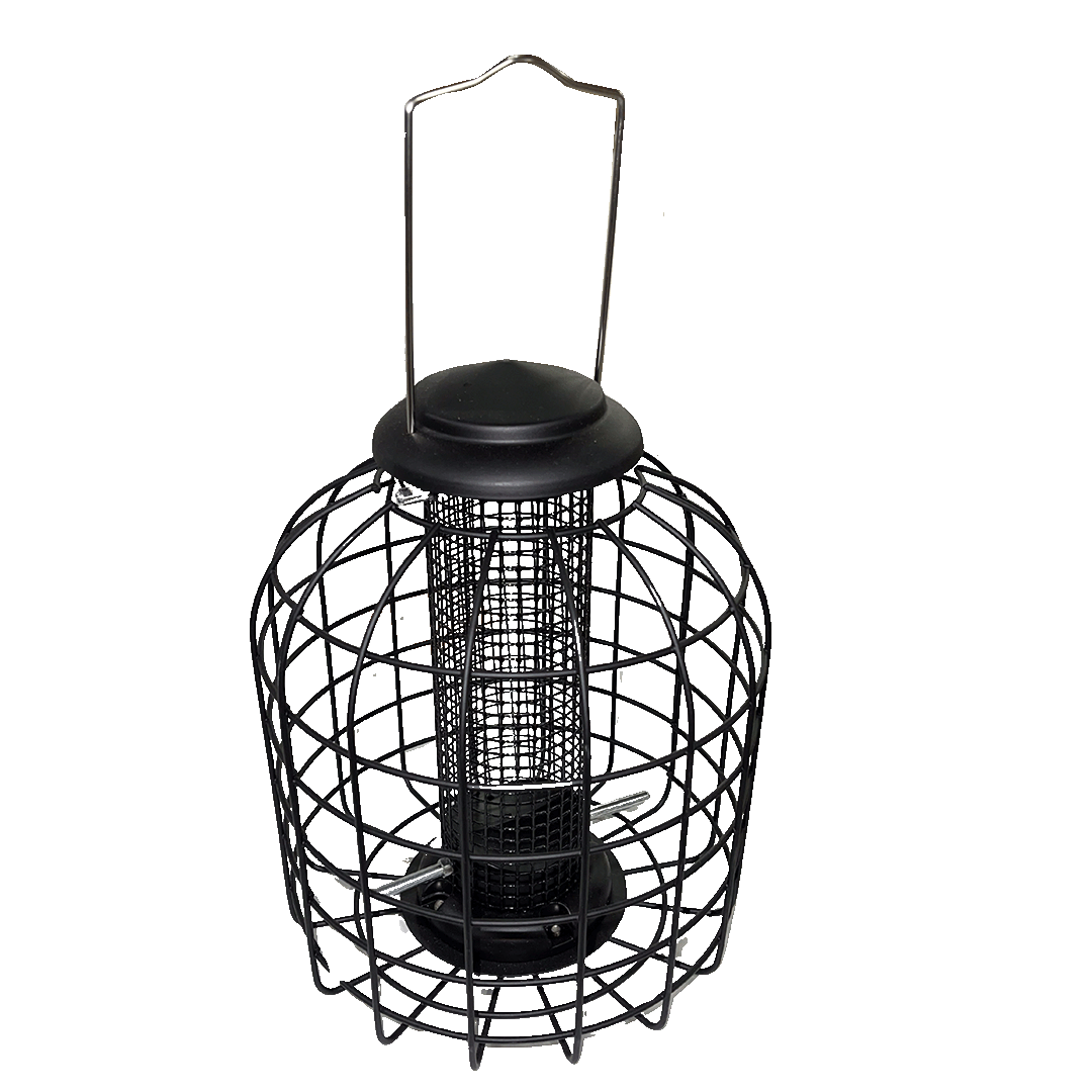Mangeoire à cacahuètes et autres noix avec grille de protection