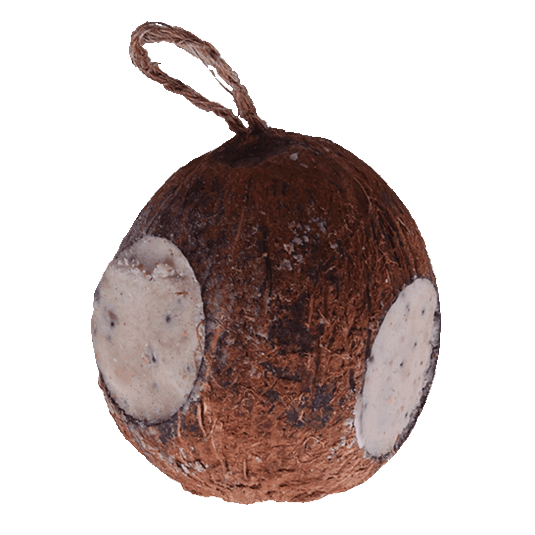 Sortenaeb – Noix de coco entière à 3 ouvertures, 350 g