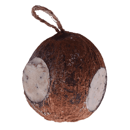 Sortenaeb – Noix de coco entière à 3 ouvertures, 350 g
