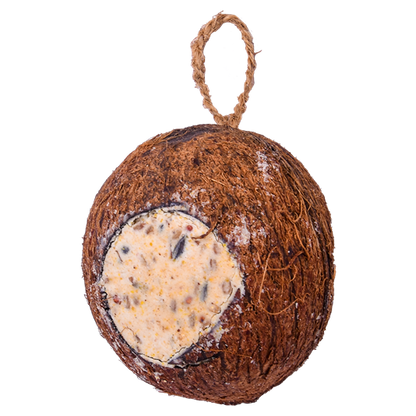 Sortenaeb – Noix de coco entière à 3 ouvertures, 350 g