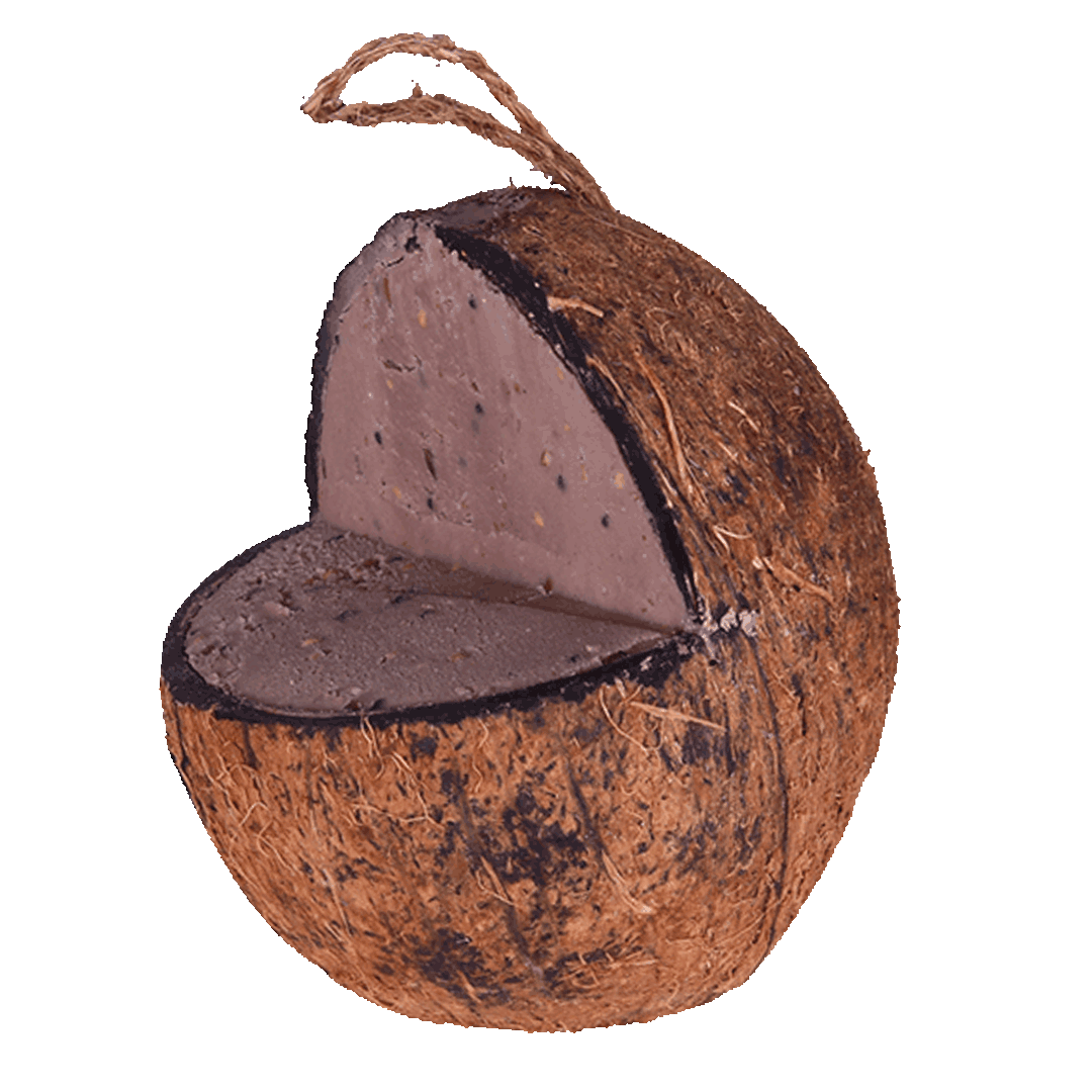 Sortenaeb – Noix de coco avec plateforme pour oiseaux
