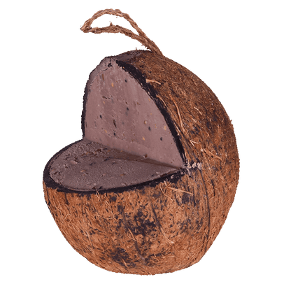 Sortenaeb – Noix de coco avec plateforme pour oiseaux
