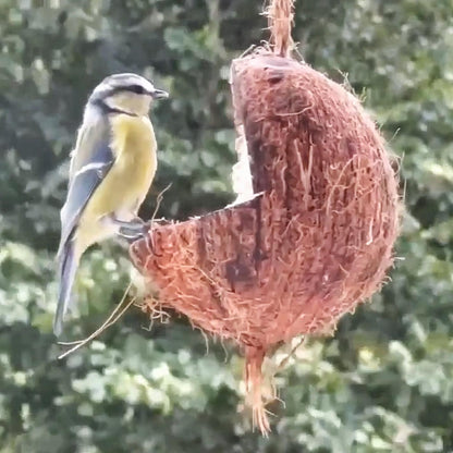 Sortenaeb – Noix de coco avec plateforme pour oiseaux