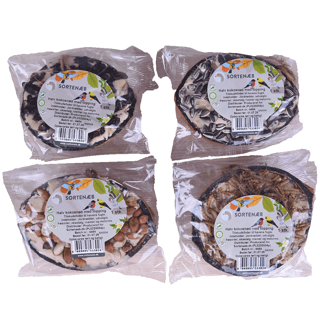 Sortenaeb – Demi-noix de coco avec garniture, assortiment – à l’unité