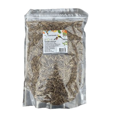 Sortenaeb – Vers de farine séchés, 0,5 kg