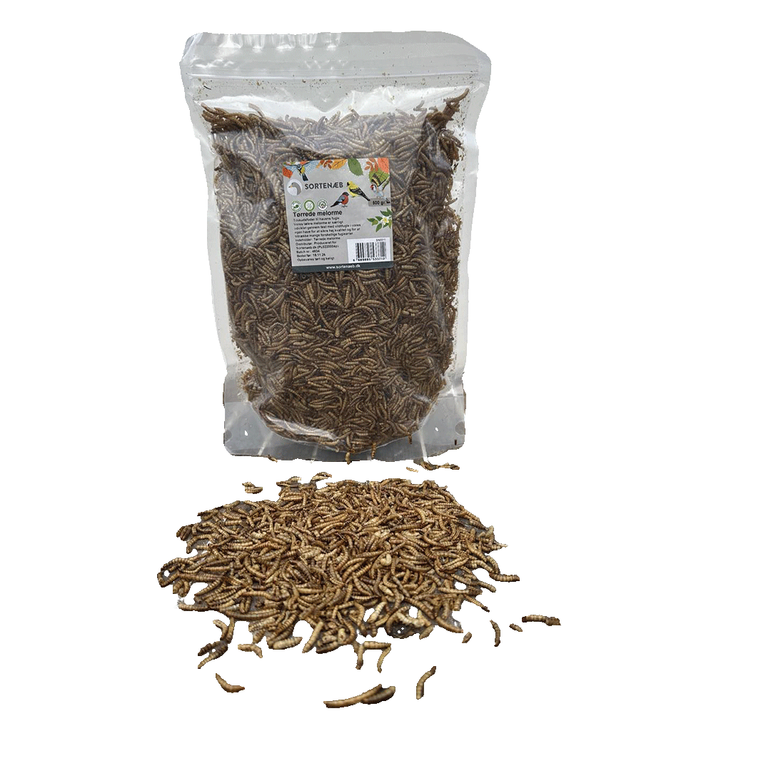 Sortenaeb – Vers de farine séchés, 0,5 kg