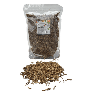 Sortenaeb – Vers de farine séchés, 0,5 kg