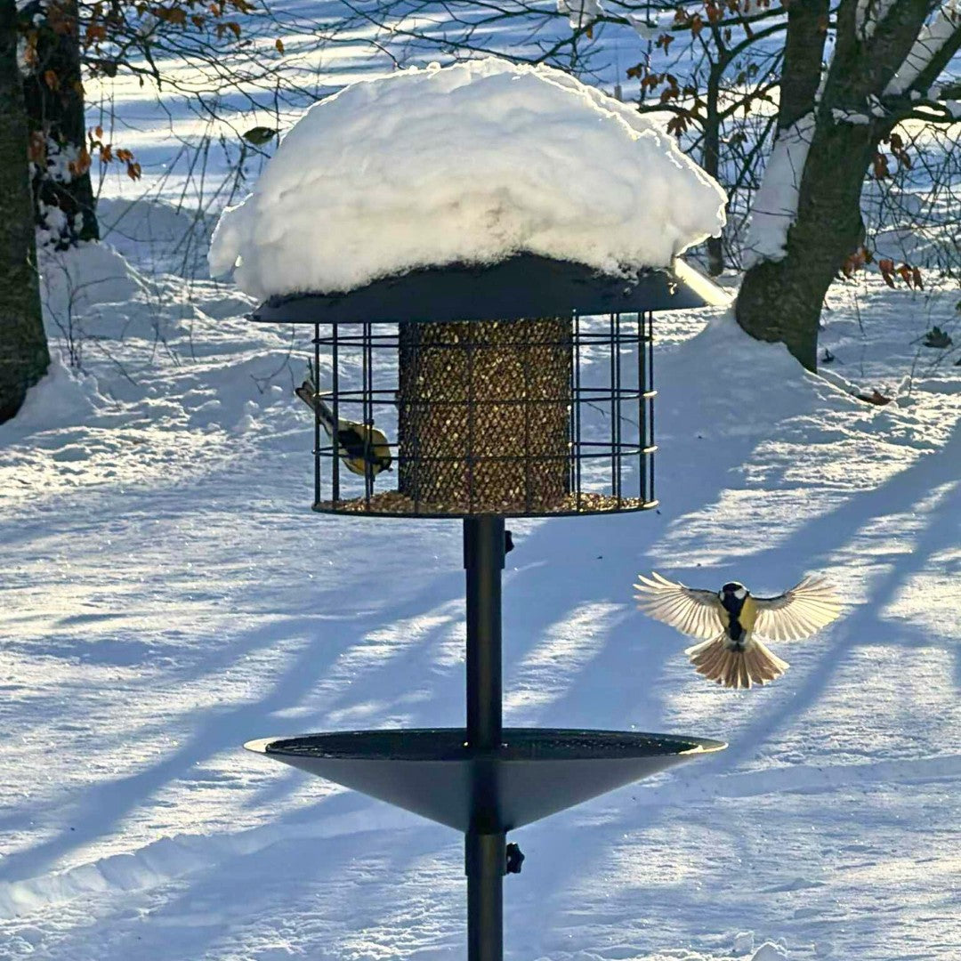 Mangeoire à oiseaux anti-rats